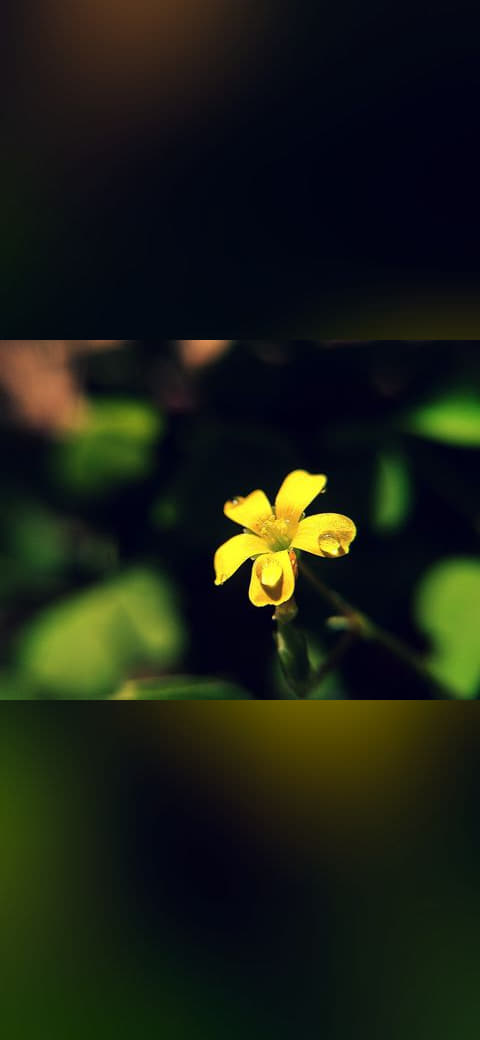 A Macro shot wallpaper in near-black and near-black tones, Full HD, 4:3 format for phone
