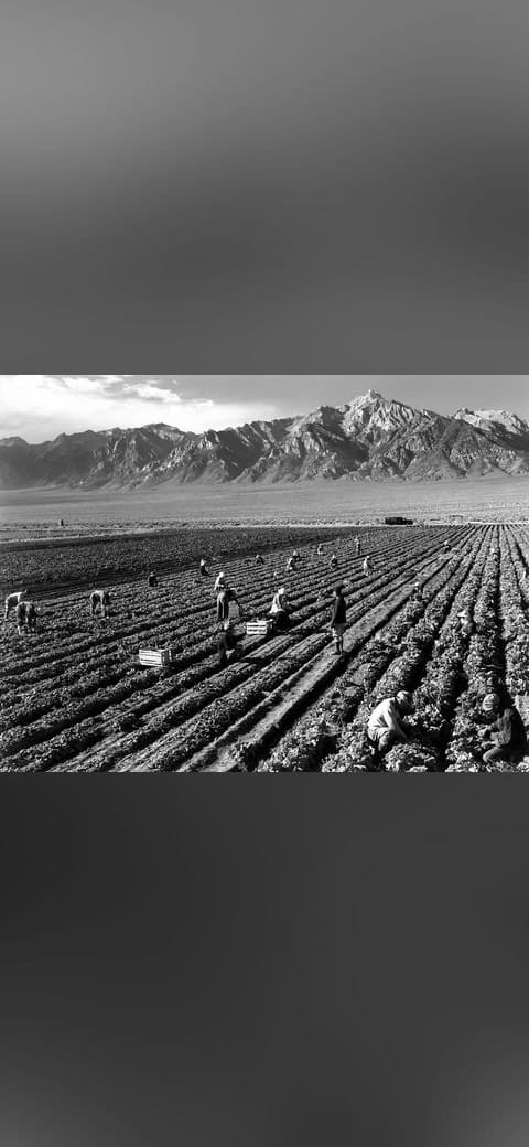 Ansel Adams - Farm workers and Mt. Williamson wallpaper in olive and charcoal tones, Full HD, 4:3 format for phone