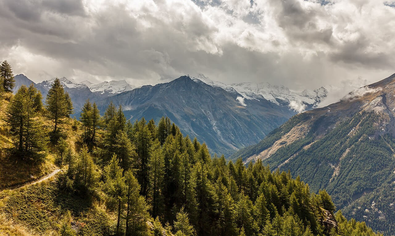 Bergtocht van Gimillan naar Colle Tsa Sètse in 01 wallpaper in sage green and charcoal tones, Full HD, 16:9 format for desktop