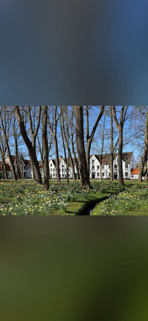 Brugge Begijnhof R01 wallpaper in olive and charcoal tones, Full HD, 4:3 format for phone