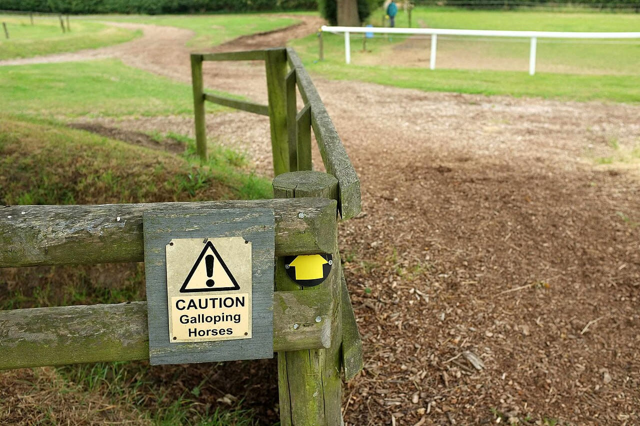 Caution - galloping horses - 5545165 wallpaper in olive and olive tones, Full HD, 4:3 format for phone