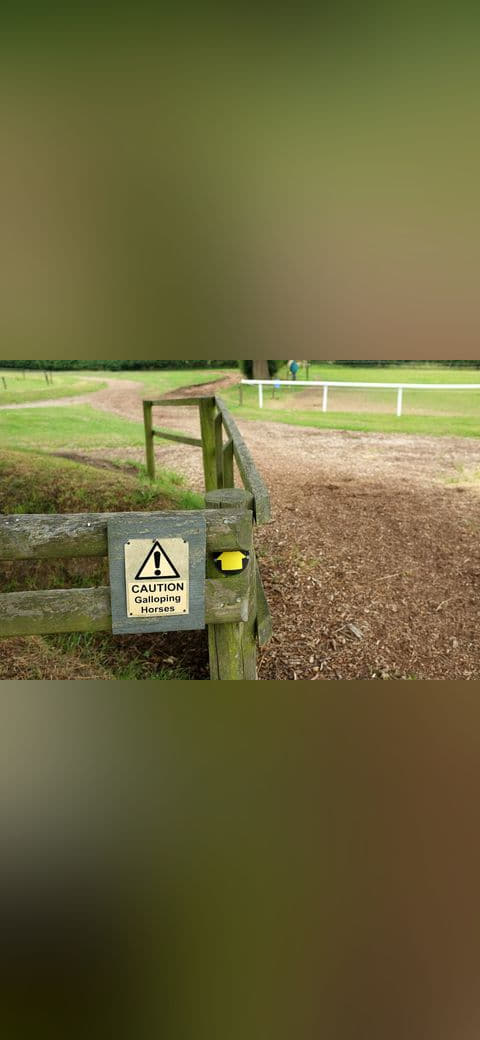 Caution - galloping horses - 5545165 wallpaper in olive and olive tones, Full HD, 4:3 format for phone