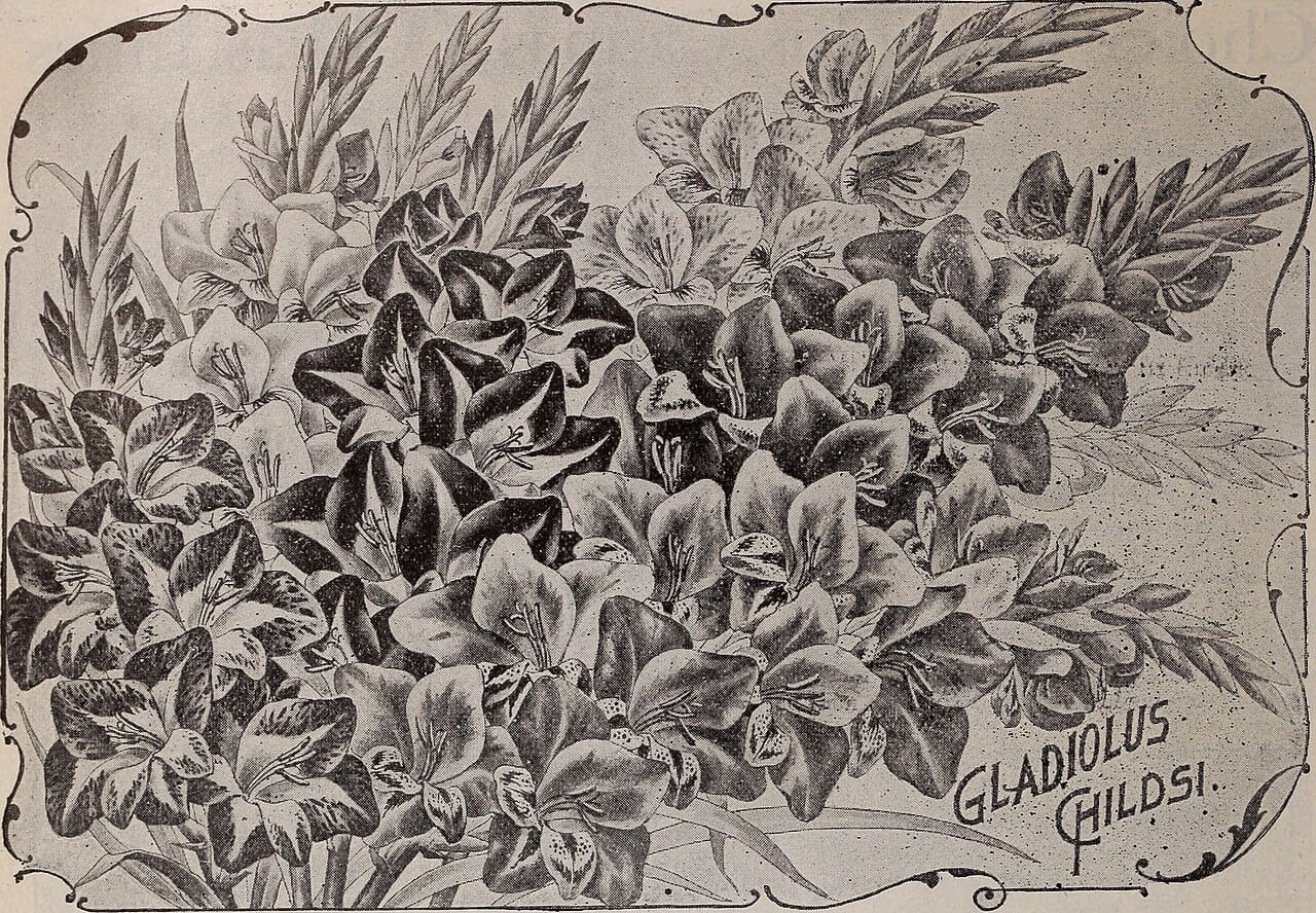 Childs' rare flowers, fruits and vegetables 3 wallpaper in slate and sage green tones, Full HD, 4:3 format for phone