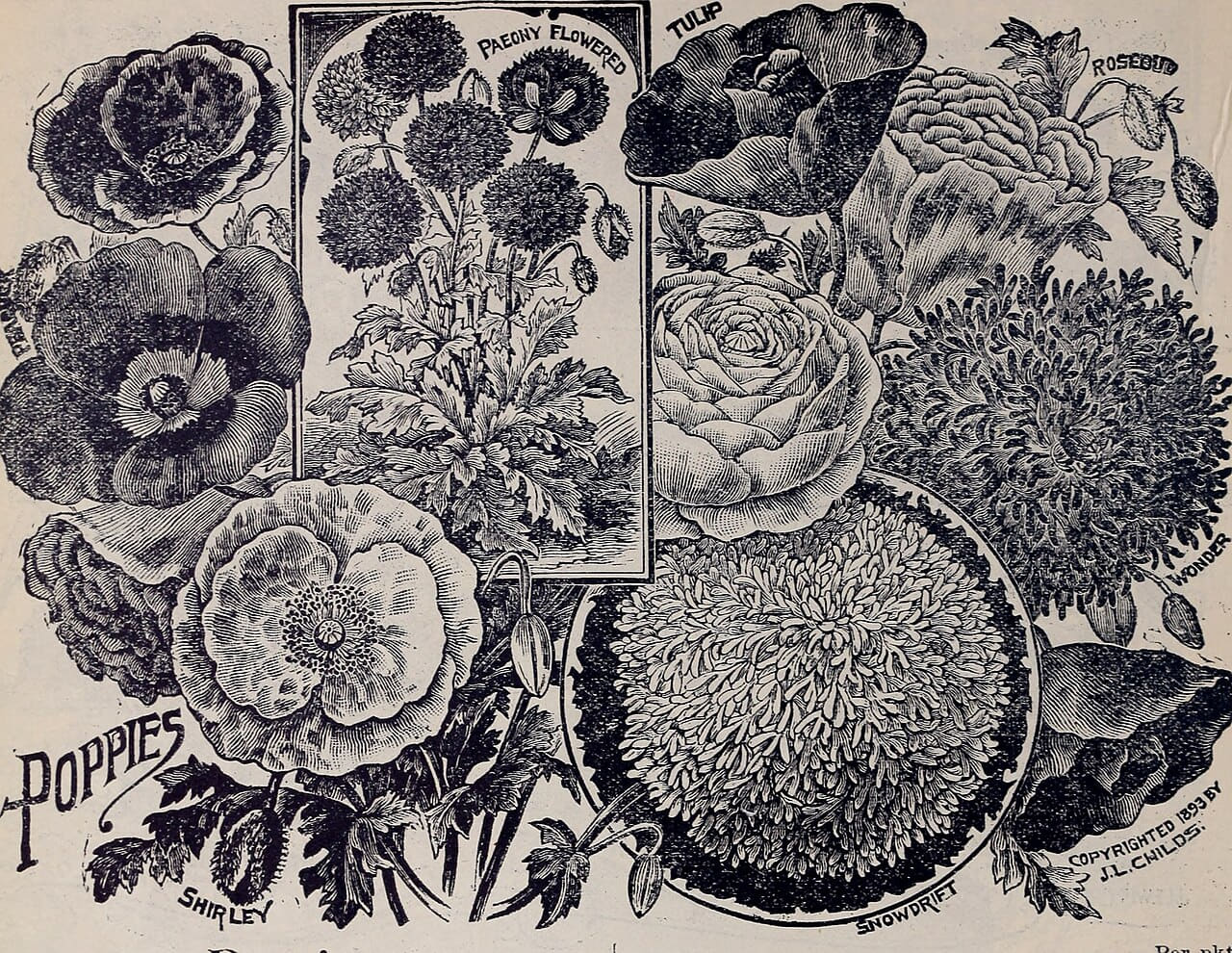 Childs' rare flowers, vegetables, and fruits 9 wallpaper in slate and olive tones, Full HD, 4:3 format for phone