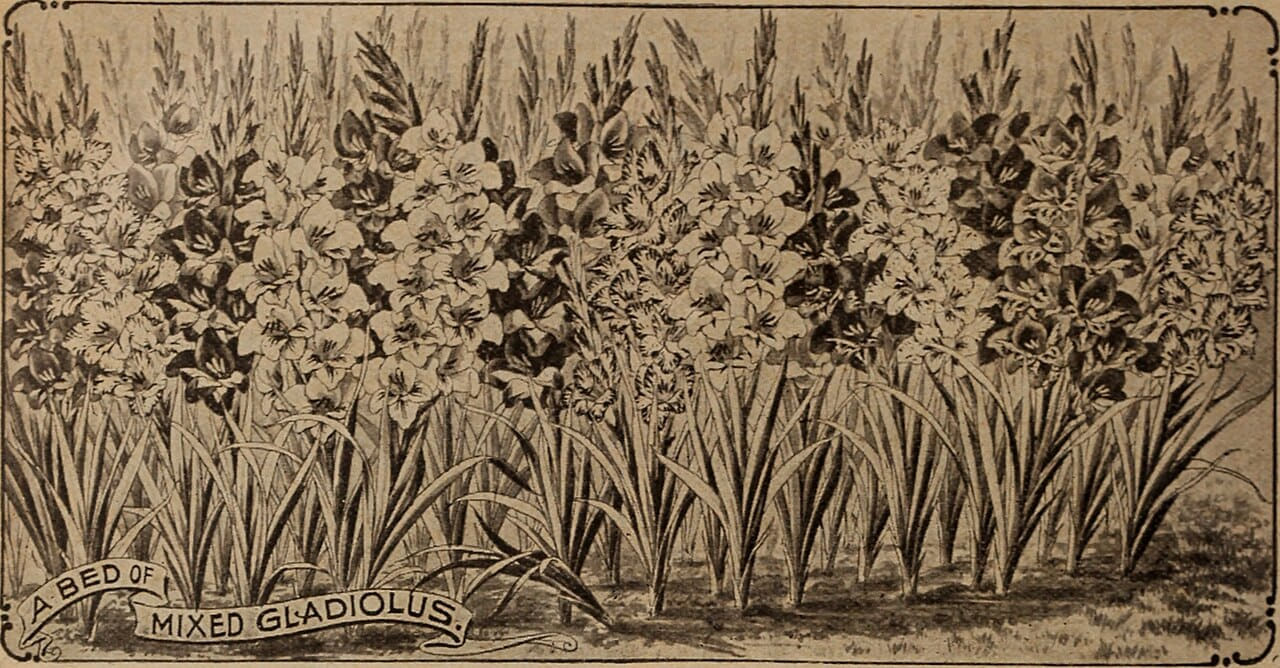 Childs' rare flowers vegetables and fruits 2 wallpaper in slate and olive tones, Full HD, 16:9 format for phone