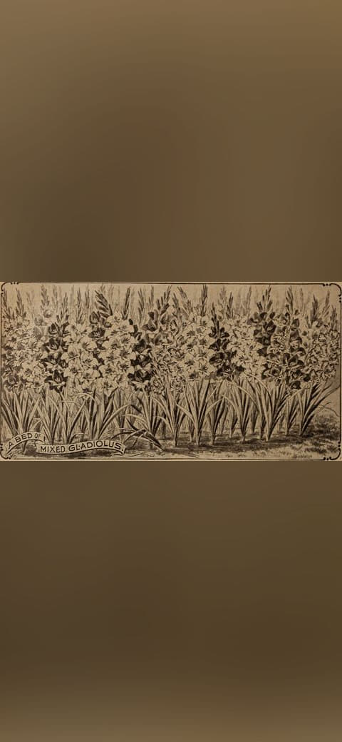 Childs' rare flowers vegetables and fruits 2 wallpaper in slate and olive tones, Full HD, 16:9 format for phone