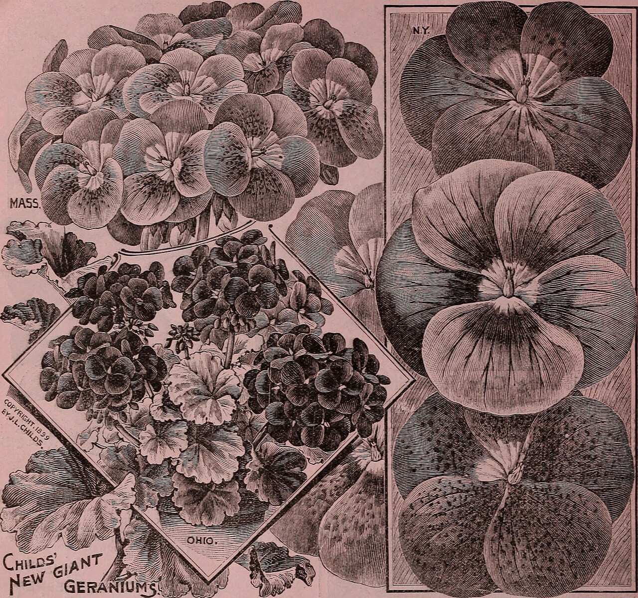 Childs' rare flowers, vegetables, and fruits wallpaper in olive and slate tones, Full HD, 1:1 format for phone