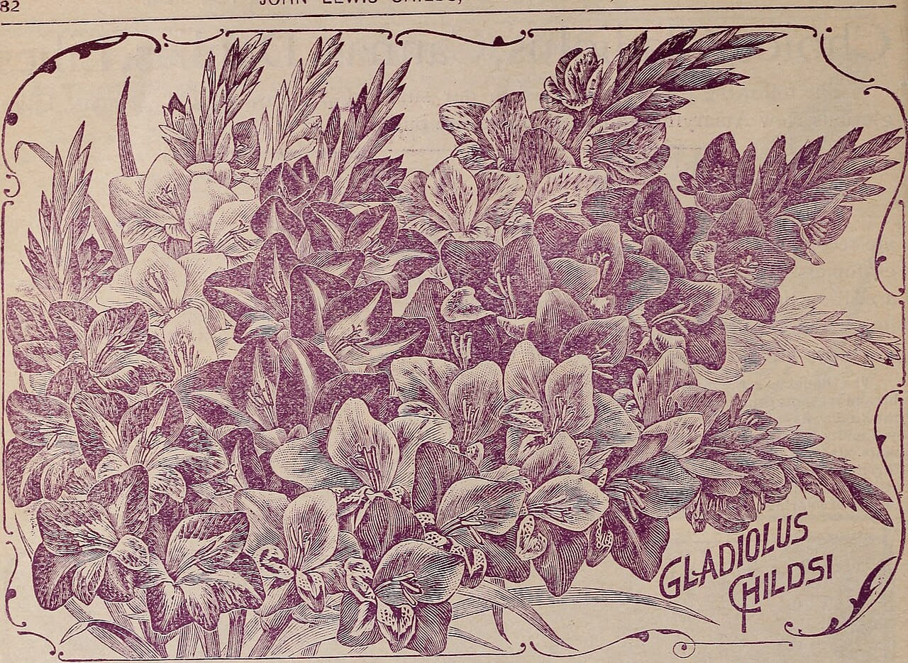 Childs' rare flowers, vegetables and fruits 2 wallpaper in slate and sand tones, Full HD, 4:3 format for phone