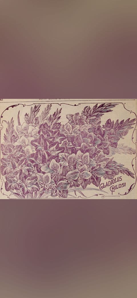 Childs' rare flowers, vegetables and fruits 2 wallpaper in slate and sand tones, Full HD, 4:3 format for phone