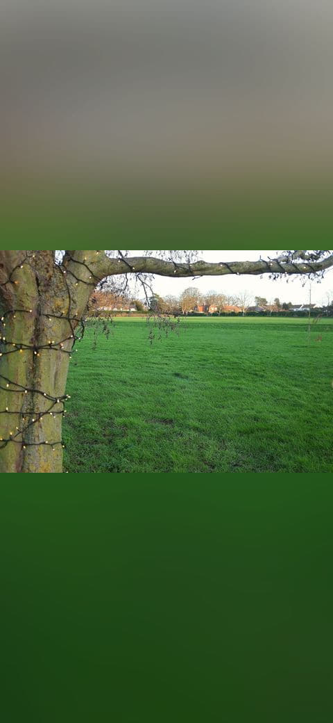 Christmas lights on tree, Blakeney - 4811339 wallpaper in olive and deep green tones, Full HD, 4:3 format for phone