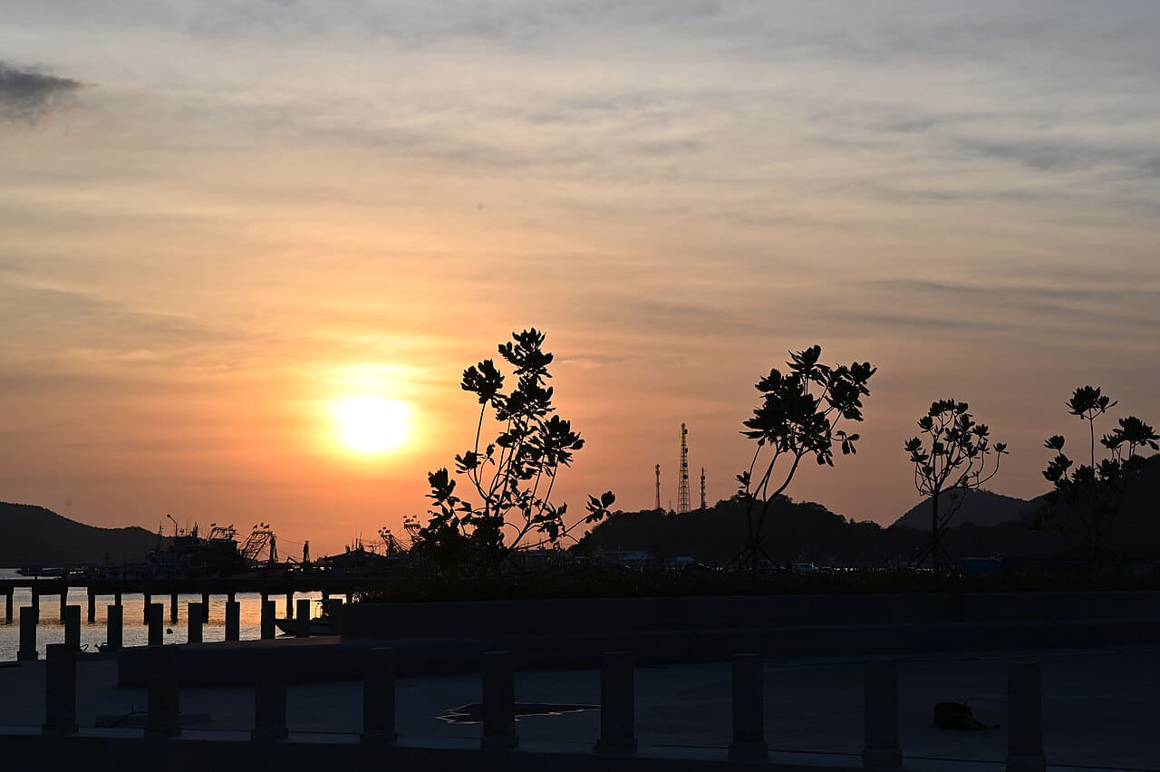 DZ6 1855 Golden sunset silhouettes trees and… wallpaper in near-black and near-black tones, Full HD, 4:3 format for phone