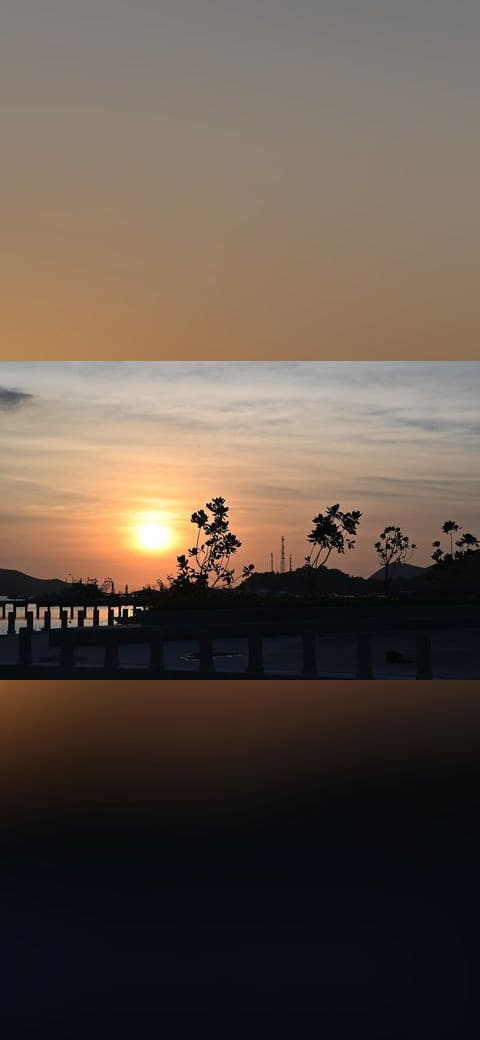 DZ6 1855 Golden sunset silhouettes trees and… wallpaper in near-black and near-black tones, Full HD, 4:3 format for phone