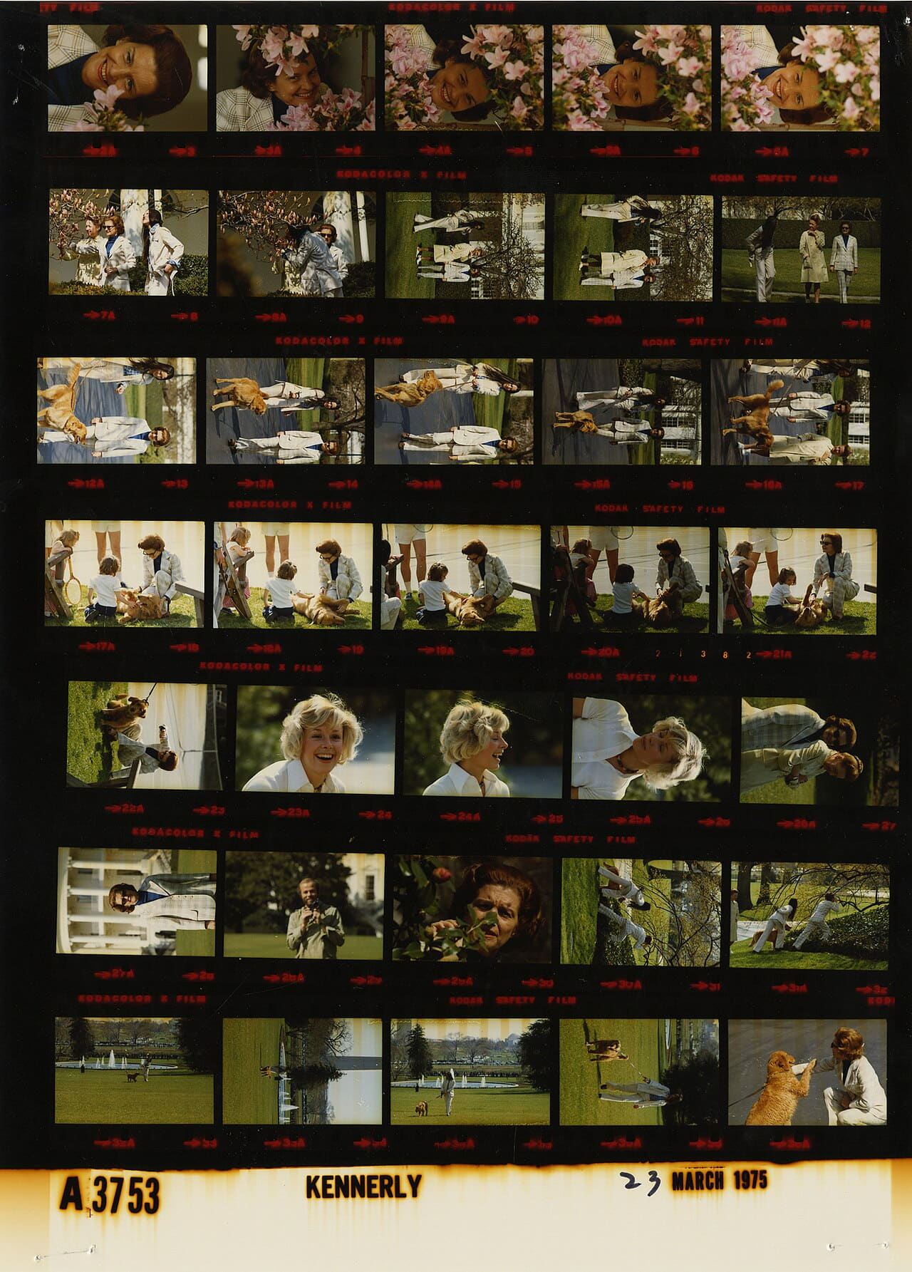 Ford A3753 NLGRF photo contact sheet wallpaper in near-black and charcoal tones, Full HD, 3:4 format for phone