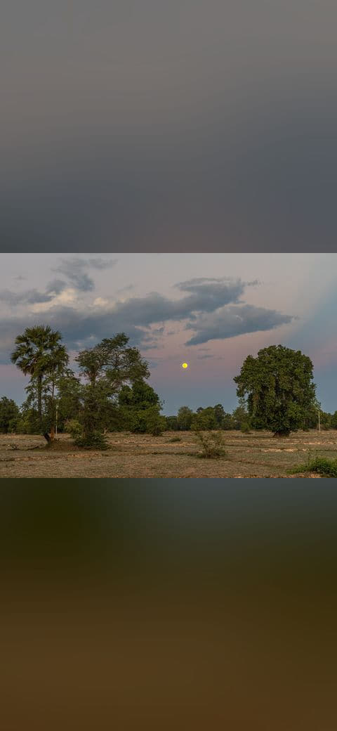 Fondo de pantalla Full moon in the evening in the dry paddy fields of… en tonos sage green y slate, Full HD, formato 4:3 para móvil