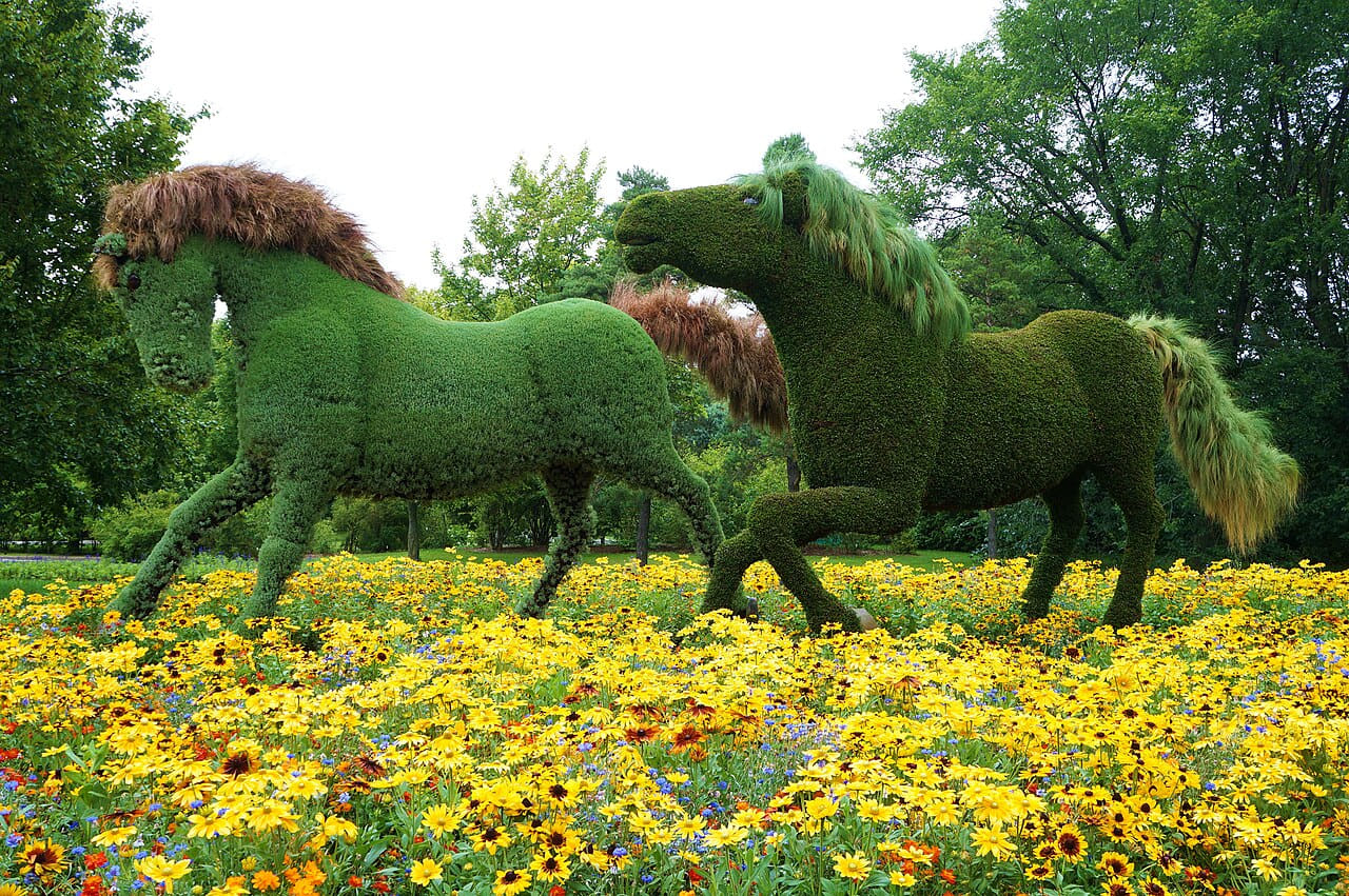 Galloping horses - panoramio wallpaper in deep green and cream tones, Full HD, 4:3 format for phone