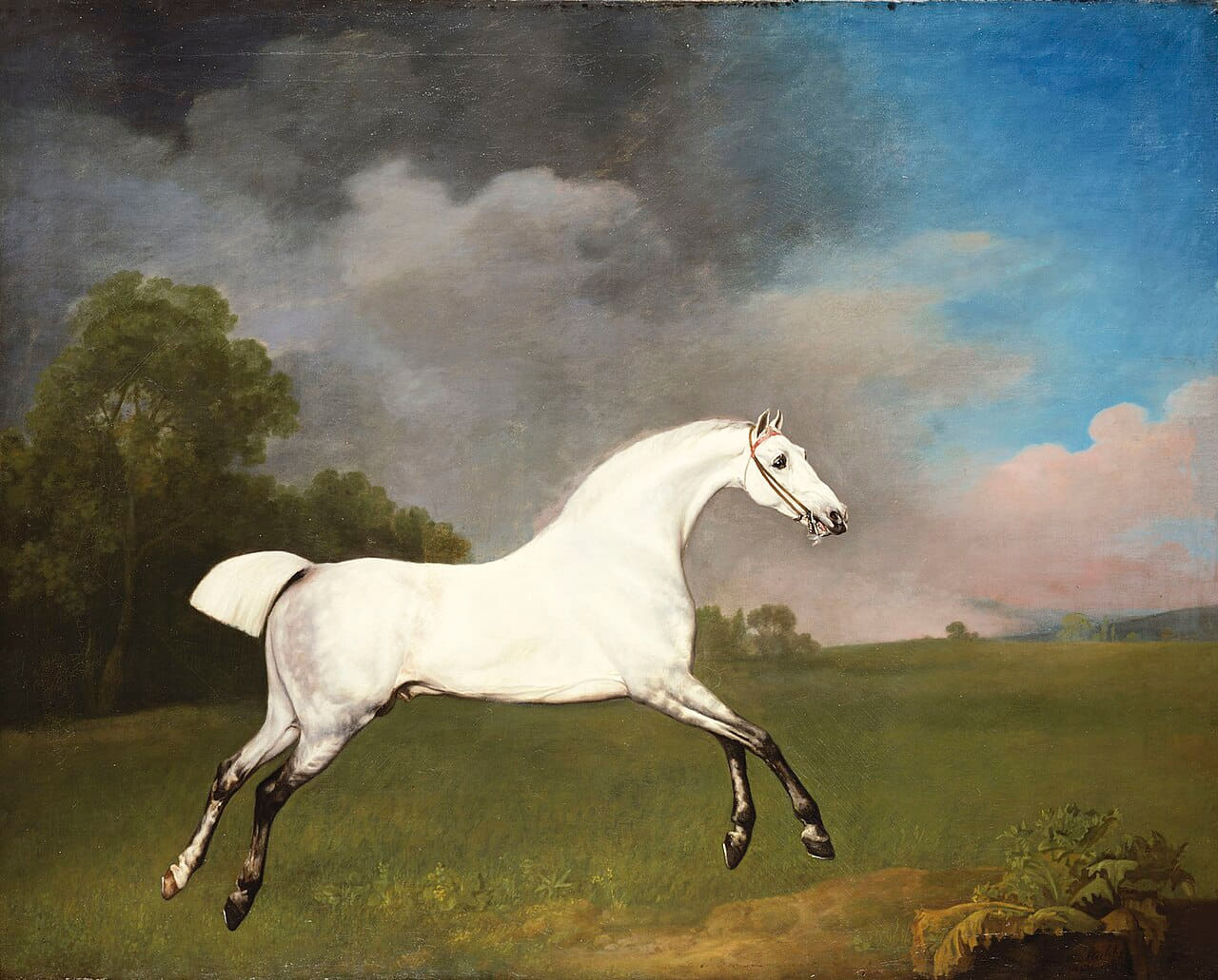 George Stubbs - A Grey Horse - RCIN 400510 - Royal… wallpaper in olive and charcoal tones, Full HD, 4:3 format for phone