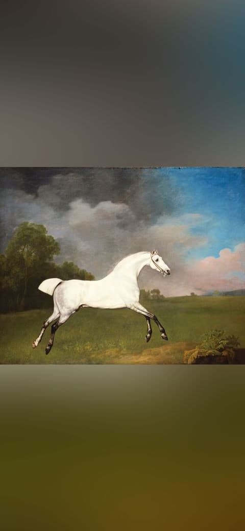 George Stubbs - A Grey Horse - RCIN 400510 - Royal… wallpaper in olive and charcoal tones, Full HD, 4:3 format for phone