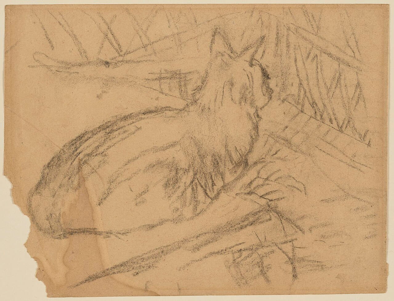 Gwen John - Cat lying down, NMW A 15577 wallpaper in sand and sand tones, Full HD, 4:3 format for phone