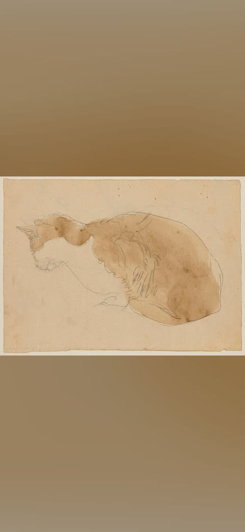 Gwen John - Cat lying down, NMW A 15587 wallpaper in sand and sand tones, Full HD, 4:3 format for phone