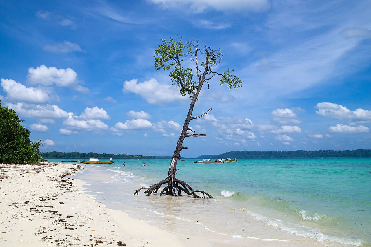 Havelock Island, Mangrove tree on the beach,… wallpaper in sky blue and slate tones, Full HD, 4:3 format for phone