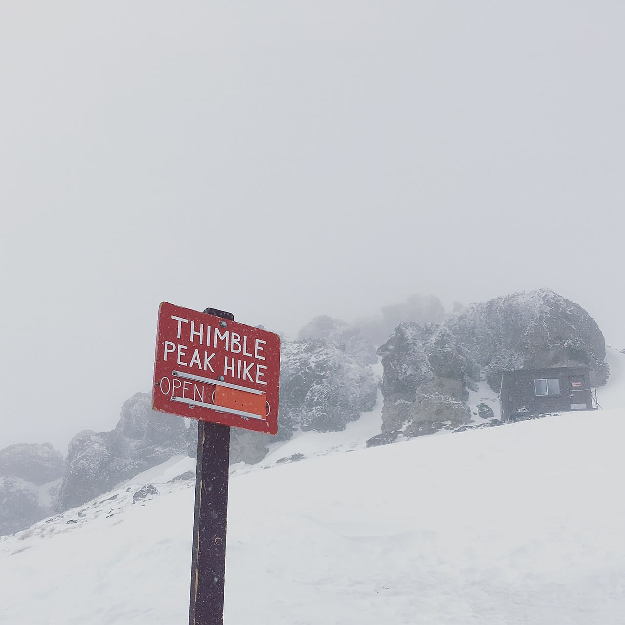 Heavy snow falling near Thimble Peak Kirkwood wallpaper in lavender and mint tones, Full HD, 1:1 format for desktop