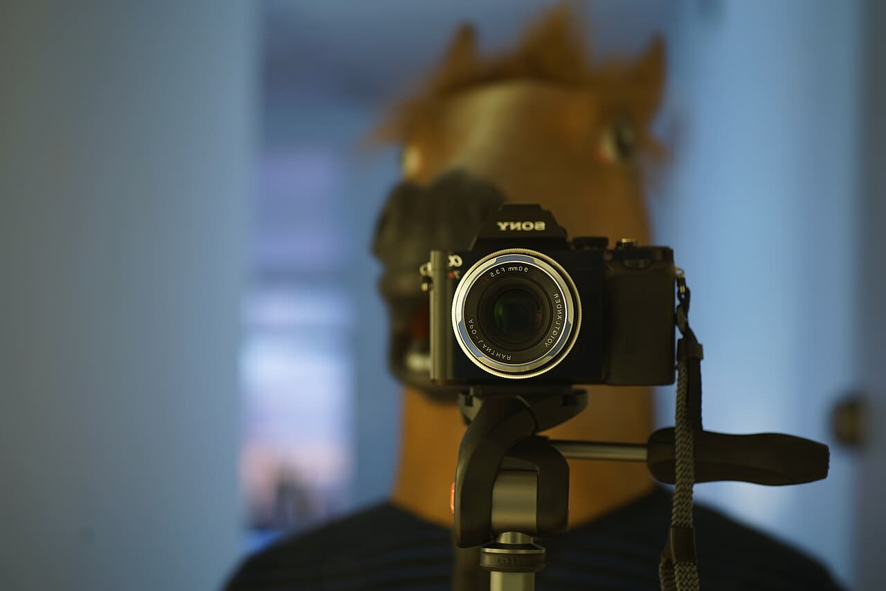 Horse head and Voigtlaender Apo-Lanthar 90mm f3.5… wallpaper in slate and slate tones, Full HD, 4:3 format for phone