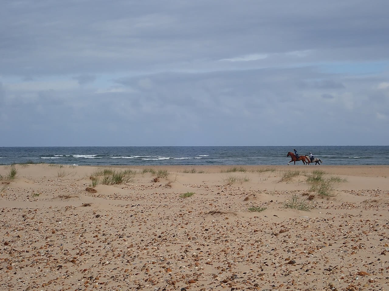 Horses galloping on Holkham beach - 7483326 wallpaper in sage green and slate tones, Full HD, 4:3 format for phone