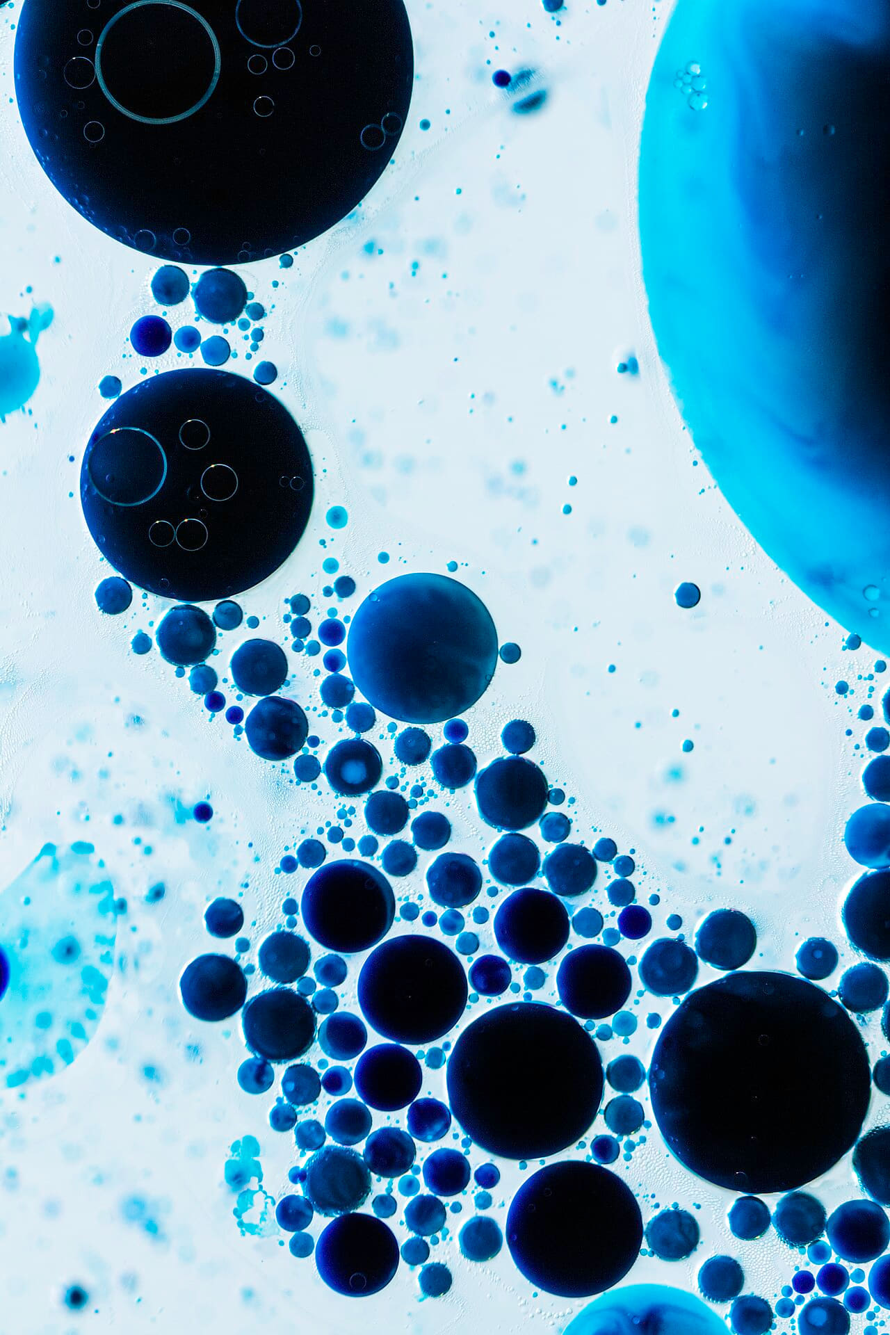 Ink&dye255 Flickr macro photo by Jordan Mudrack -… wallpaper in pale sky and near-black tones, Full HD, 3:4 format for desktop
