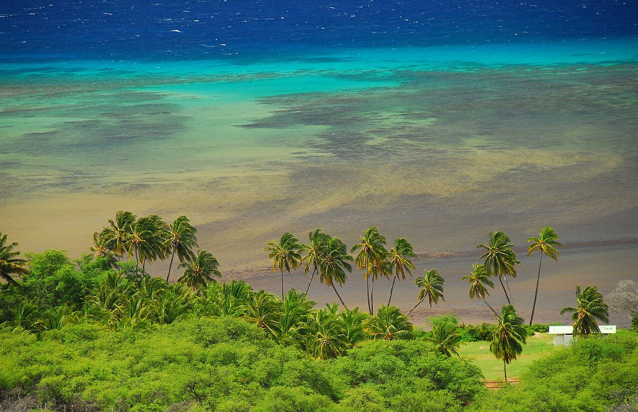 Kakahai‘a Beach Park Molokai Hawaii , Photo by Pat… wallpaper in olive and olive tones, Full HD, 16:9 format for phone