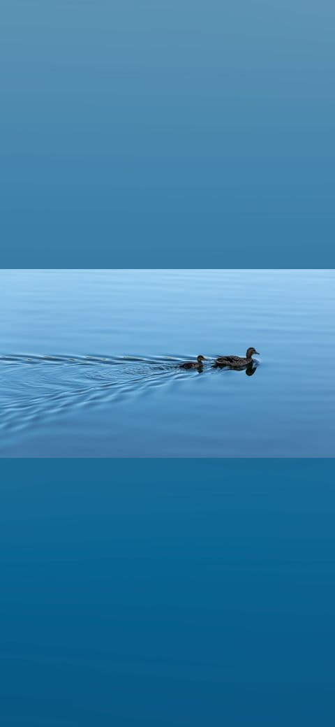 Kopenhagen , Sankt-Joergens-See wallpaper in sky blue and slate tones, Full HD, 16:9 format for phone