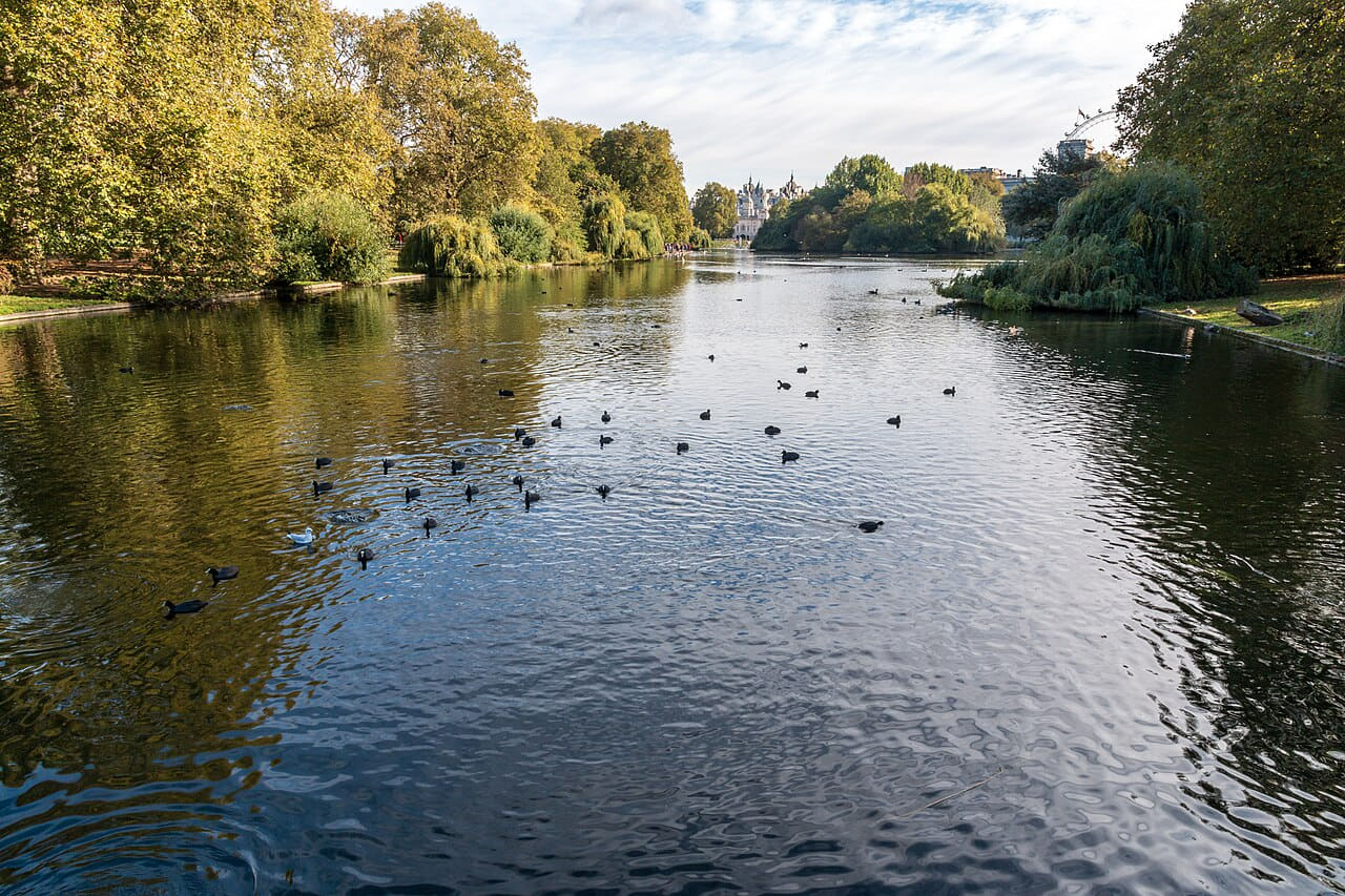 London, St. James's Park wallpaper in charcoal and charcoal tones, Full HD, 4:3 format for phone