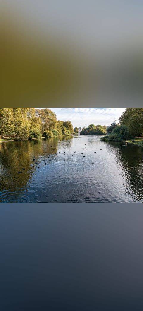 London, St. James's Park wallpaper in charcoal and charcoal tones, Full HD, 4:3 format for phone