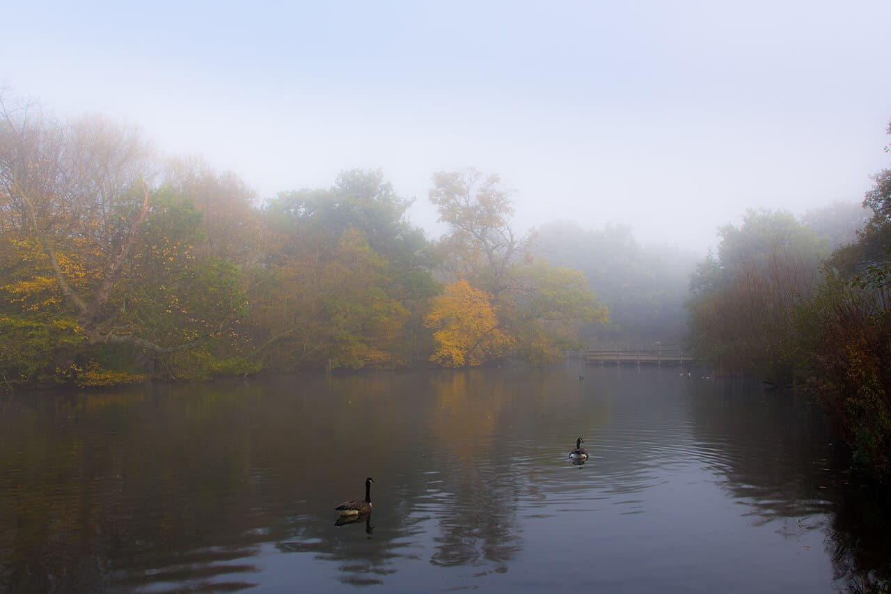 Misty Lake wallpaper in lavender and charcoal tones, Full HD, 4:3 format for phone
