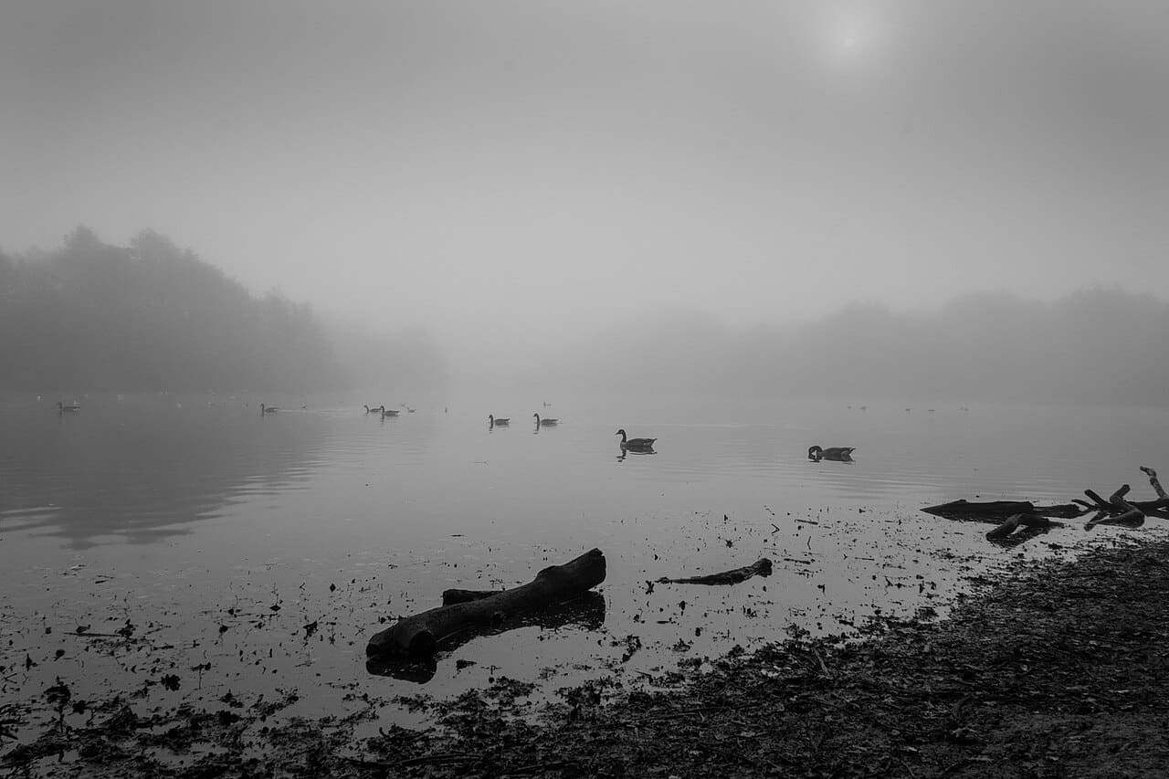 Misty Lake 4 wallpaper in sage green and slate tones, Full HD, 4:3 format for phone