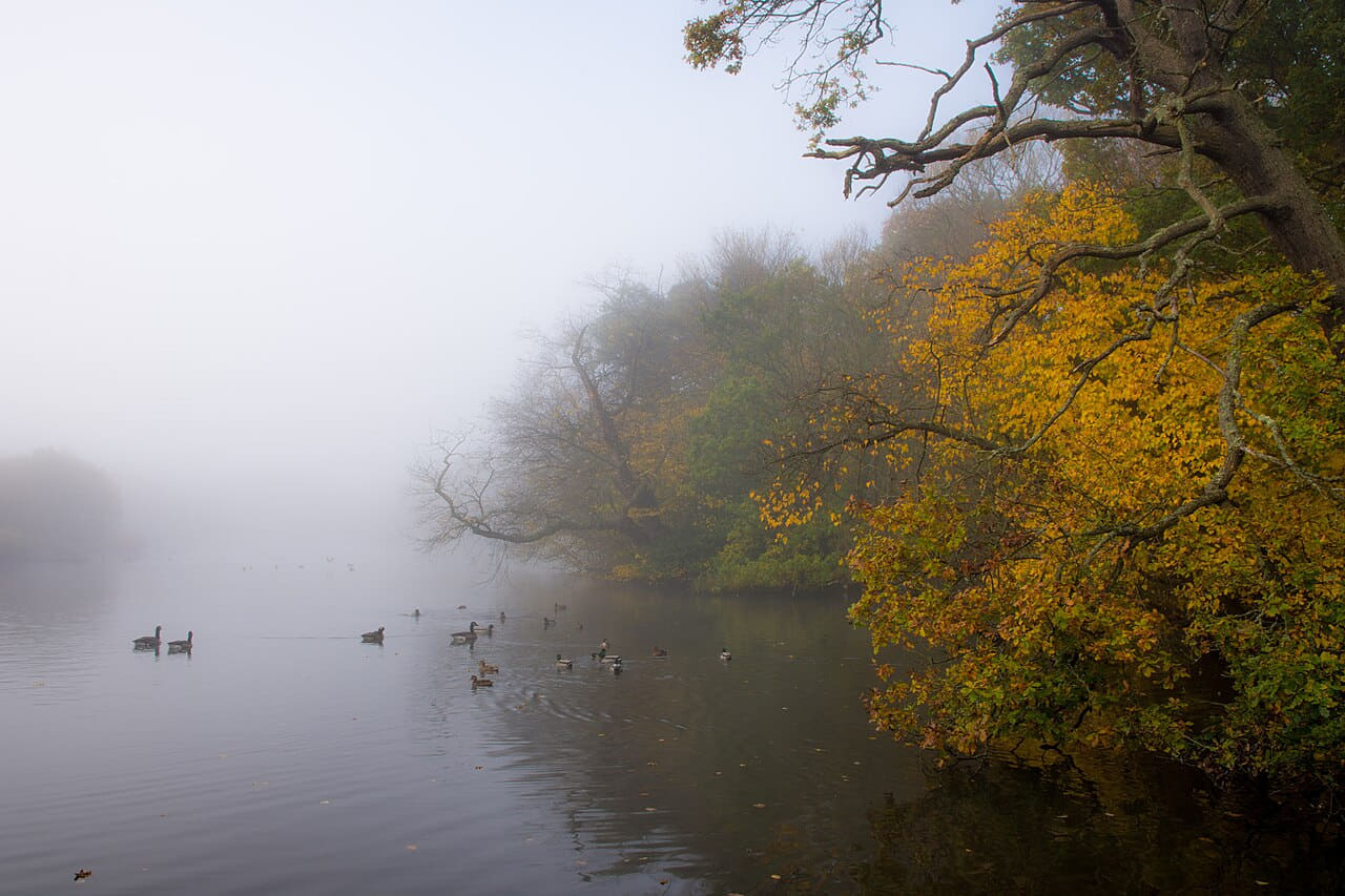 Misty Lake 5 wallpaper in lavender and lavender tones, Full HD, 4:3 format for phone
