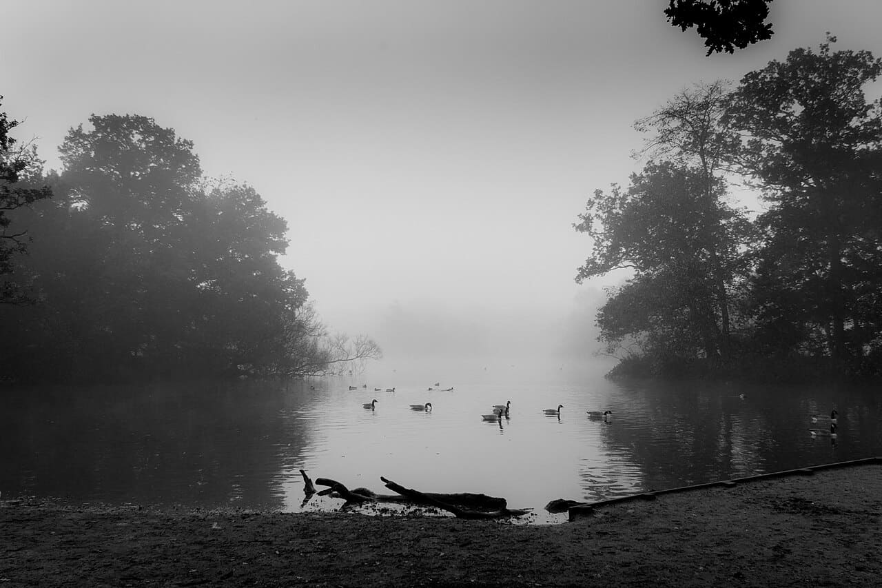 Misty Lake 7 wallpaper in near-black and sand tones, Full HD, 4:3 format for phone