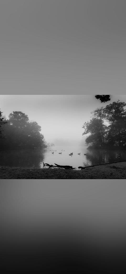 Misty Lake 7 wallpaper in near-black and sand tones, Full HD, 4:3 format for phone