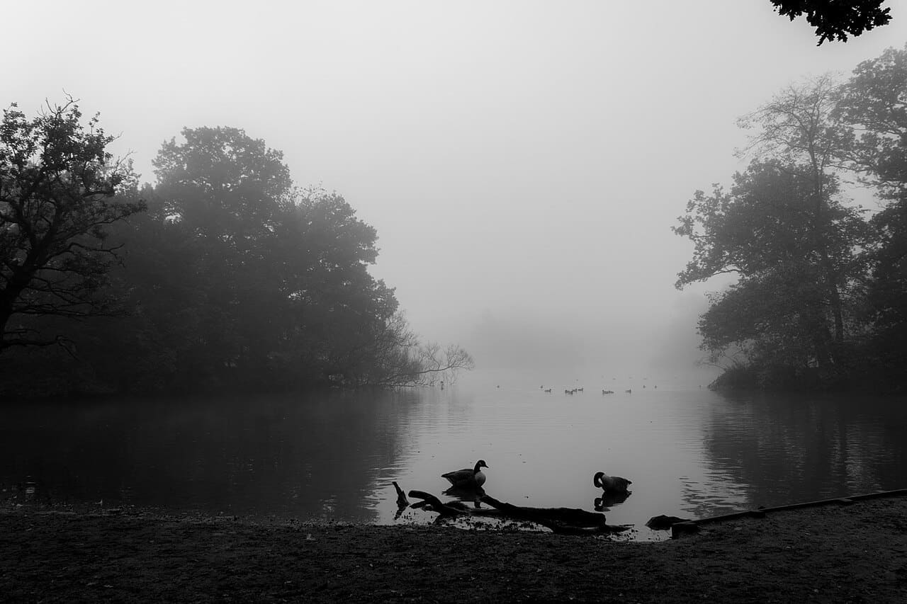 Misty Lake 8 wallpaper in near-black and lavender tones, Full HD, 4:3 format for phone