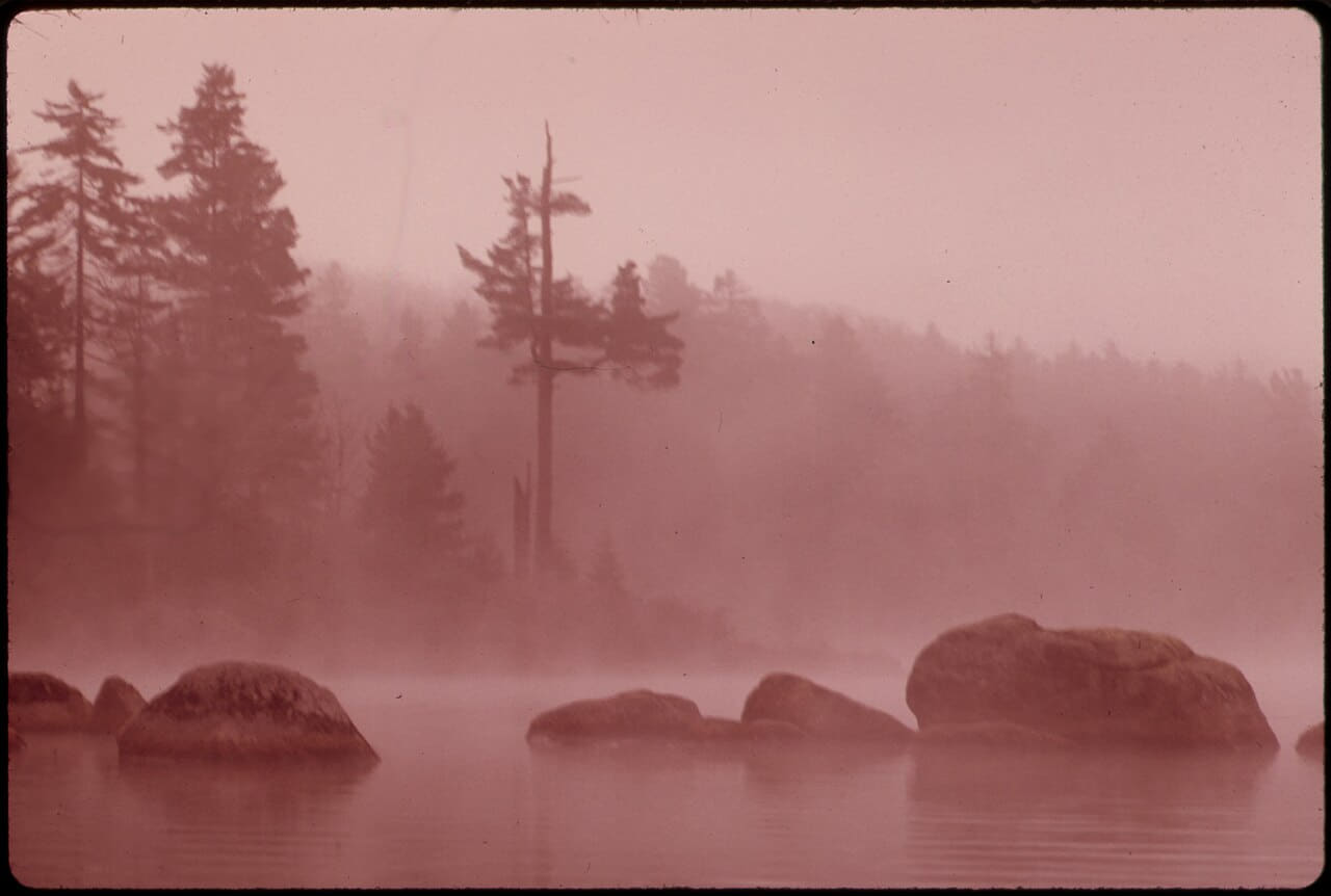 MISTY MORNING ON TWITCHELL LAKE SHOWS VIRGIN 554755 wallpaper in olive and sand tones, Full HD, 4:3 format for phone