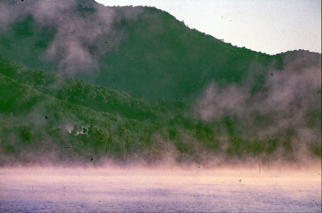 Morning mist Lake Tinaroo Tinaroo State Forest 0015 wallpaper in charcoal and olive tones, Full HD, 4:3 format for phone