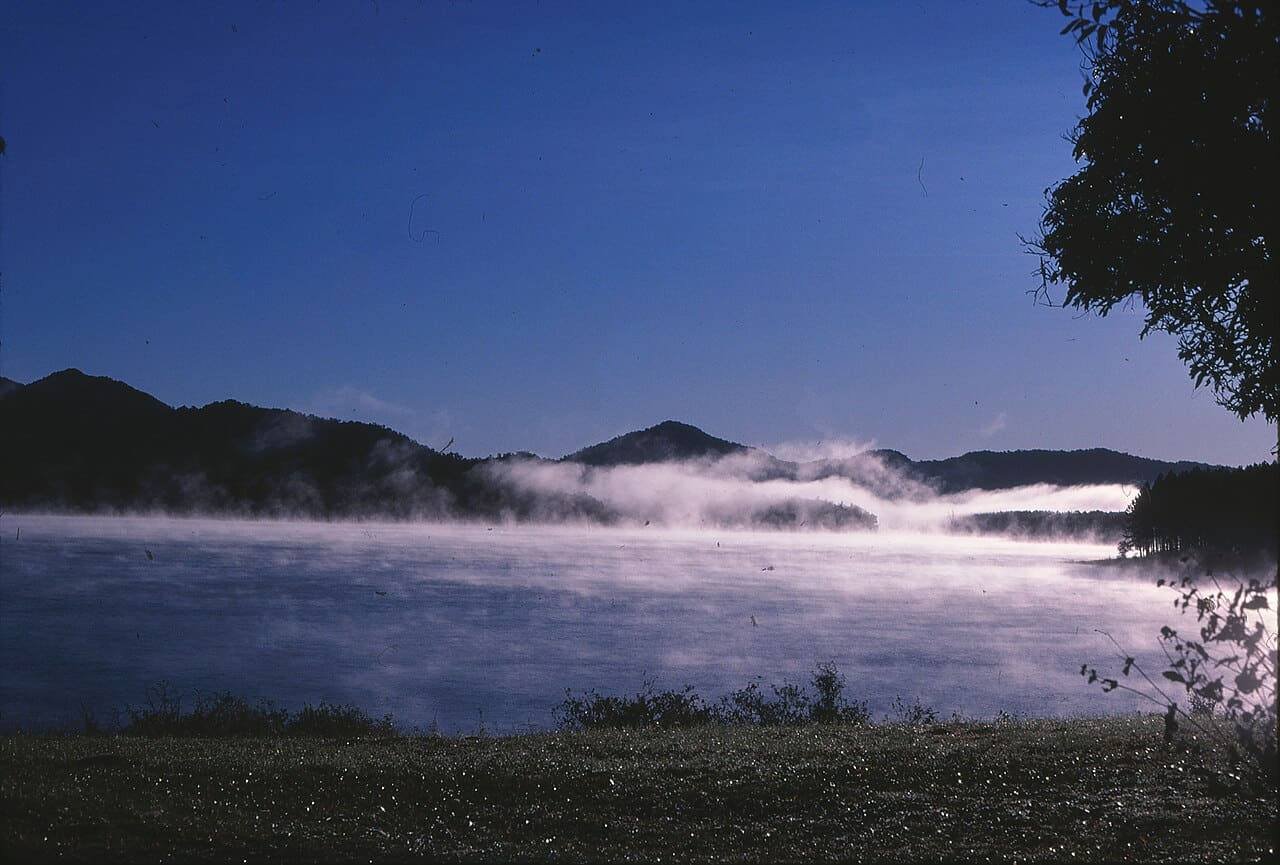 Morning mist Lake Tinaroo Tinaroo State Forest 0075 wallpaper in near-black and steel blue tones, Full HD, 4:3 format for phone