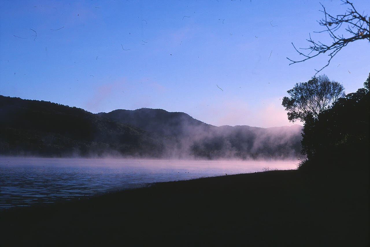 Morning mist Lake Tinaroo Tinaroo State Forest 0115 wallpaper in near-black and slate tones, Full HD, 4:3 format for phone