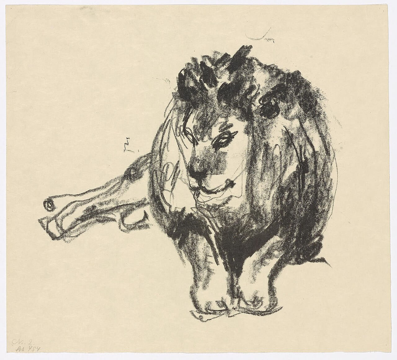 Munch - Lion Lying Down, MM.G.00390-02 wallpaper in cream and sand tones, Full HD, 1:1 format for phone