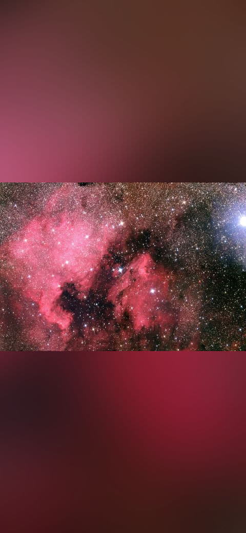 NGC 7000- The North America Nebula and the Pelican… wallpaper in charcoal and charcoal tones, Full HD, 4:3 format for desktop
