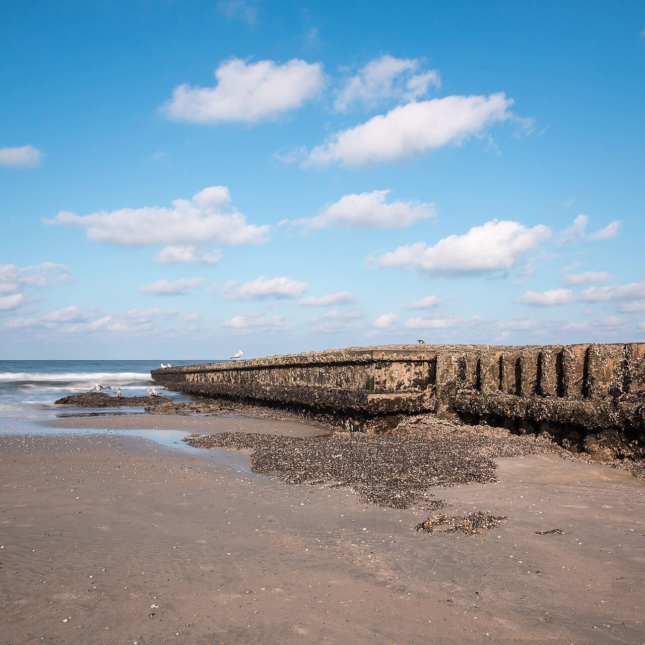 Norderney, Nordstrand - wallpaper in slate and sky blue tones, Full HD, 1:1 format for phone