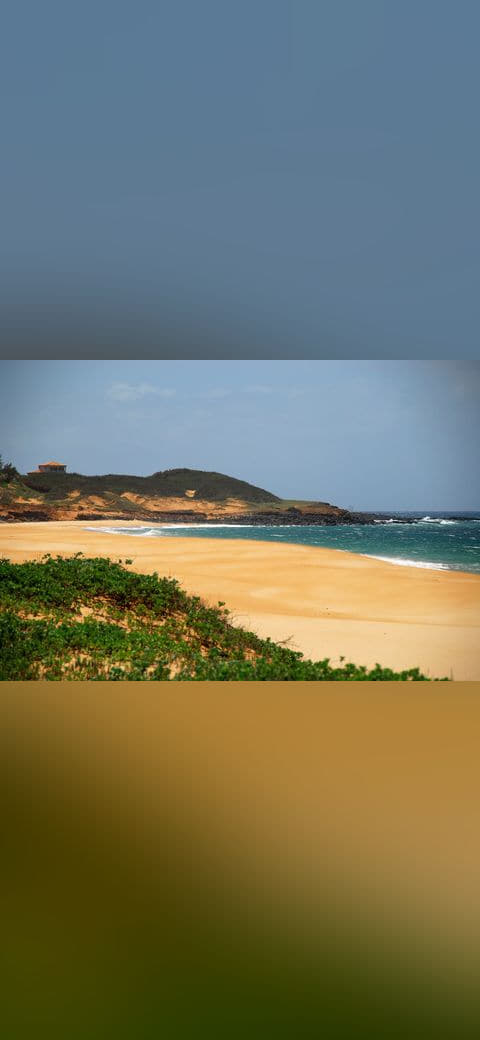 Papohaku Beach Molokai Hawaii Photo by Pat McNally… wallpaper in sage green and sage green tones, Full HD, 4:3 format for phone
