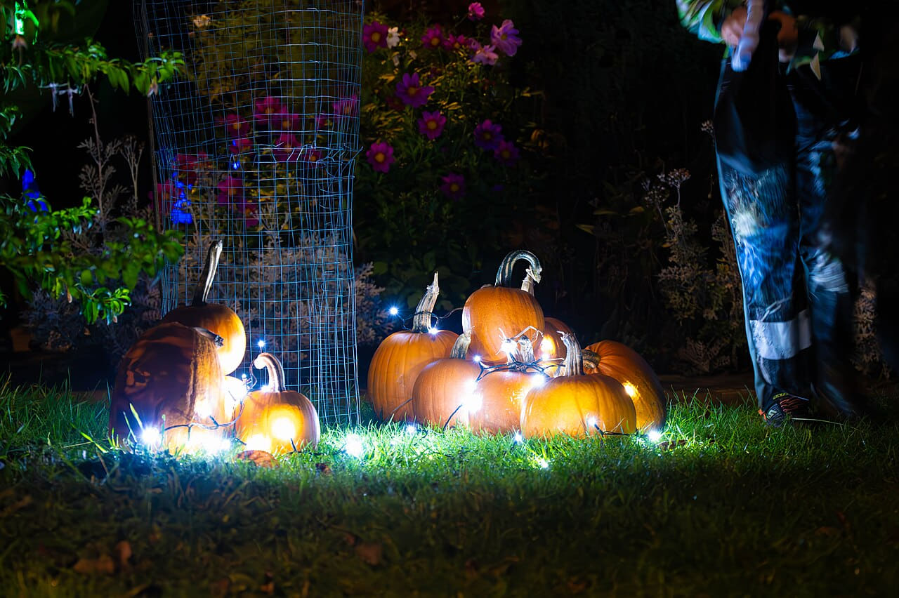 Pathfinders join pumpkin patrol for Halloween 3 wallpaper in near-black and near-black tones, Full HD, 4:3 format for phone