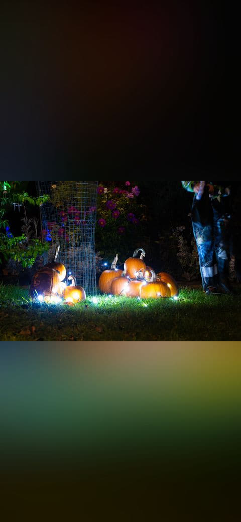 Pathfinders join pumpkin patrol for Halloween 3 wallpaper in near-black and near-black tones, Full HD, 4:3 format for phone