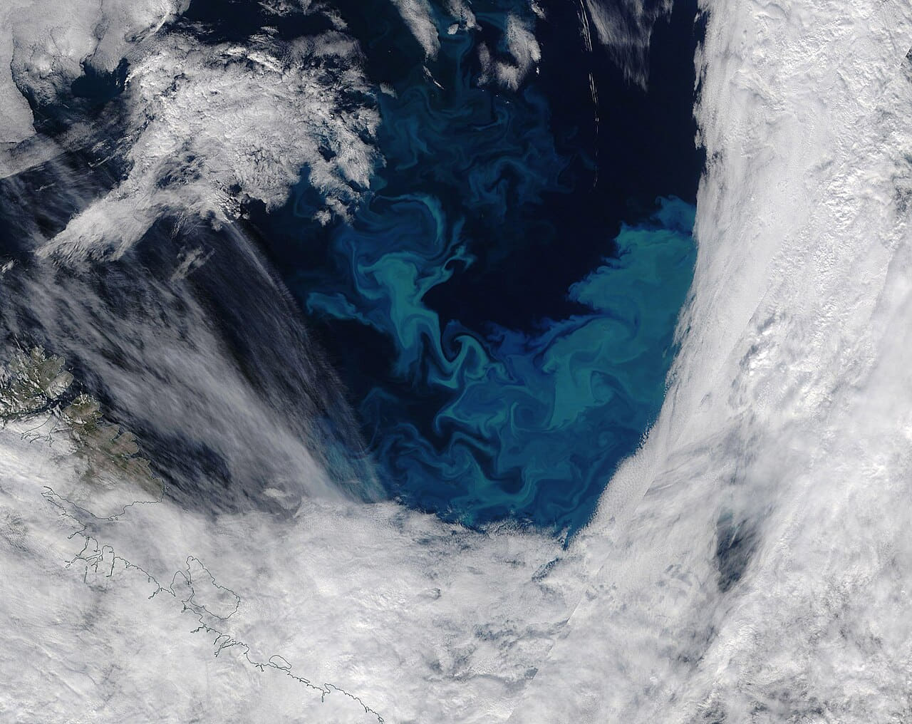 Phytoplankton Bloom in the Barents Sea wallpaper in sand and lavender tones, Full HD, 4:3 format for phone