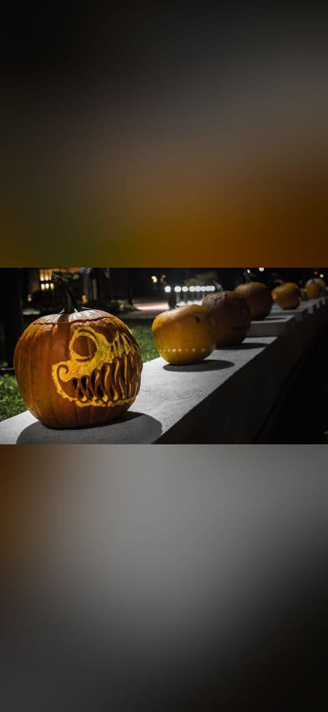 Pumpkin Line wallpaper in near-black and near-black tones, Full HD, 16:9 format for phone
